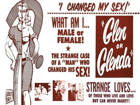 Glen Or Glenda (1953)