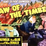 Law of the Timber (1941)
